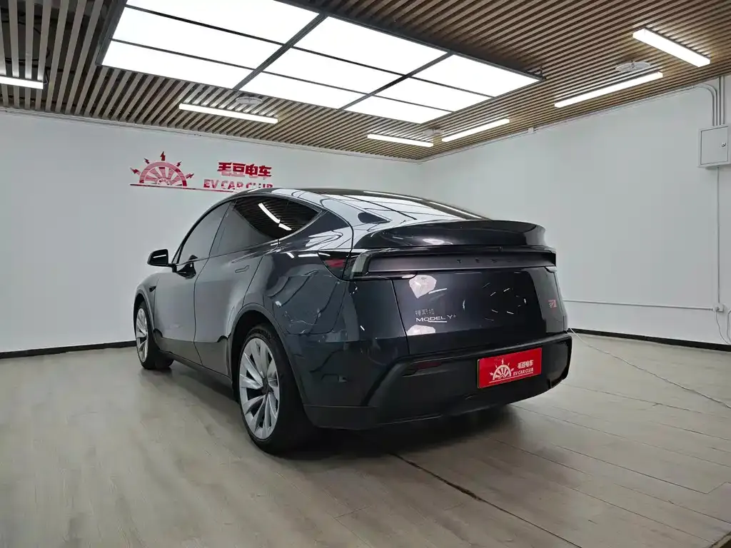 Tesla Model Y — фото 6