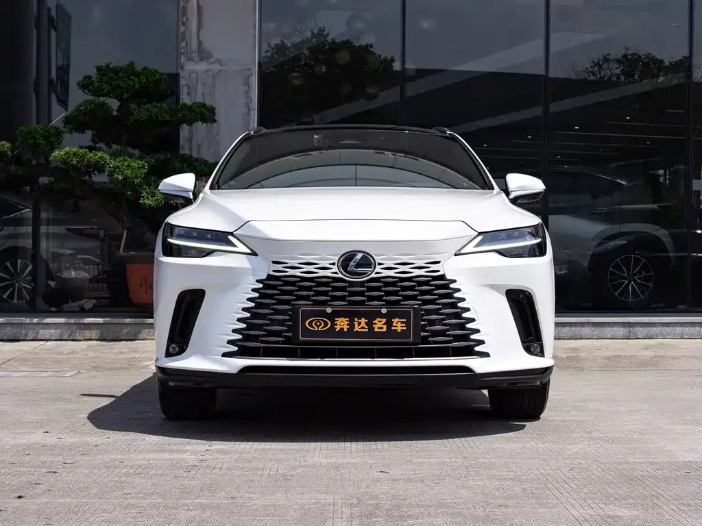 Lexus RX New Energy — фото 10