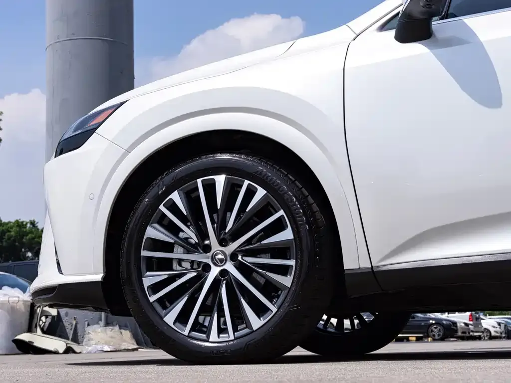 Lexus RX New Energy — фото 8