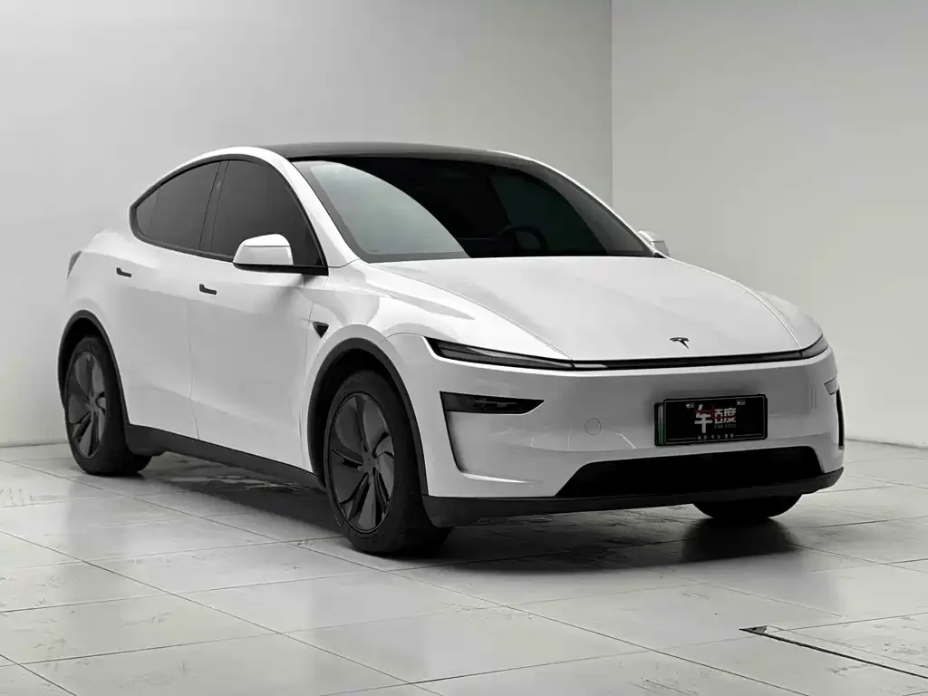 Tesla Model Y — фото 7