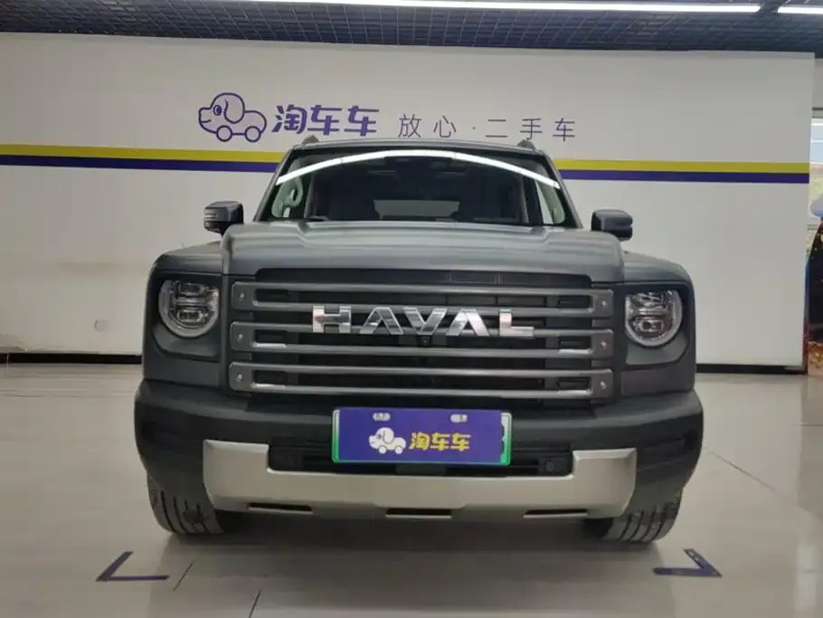 Haval Menglong New Energy — фото 3