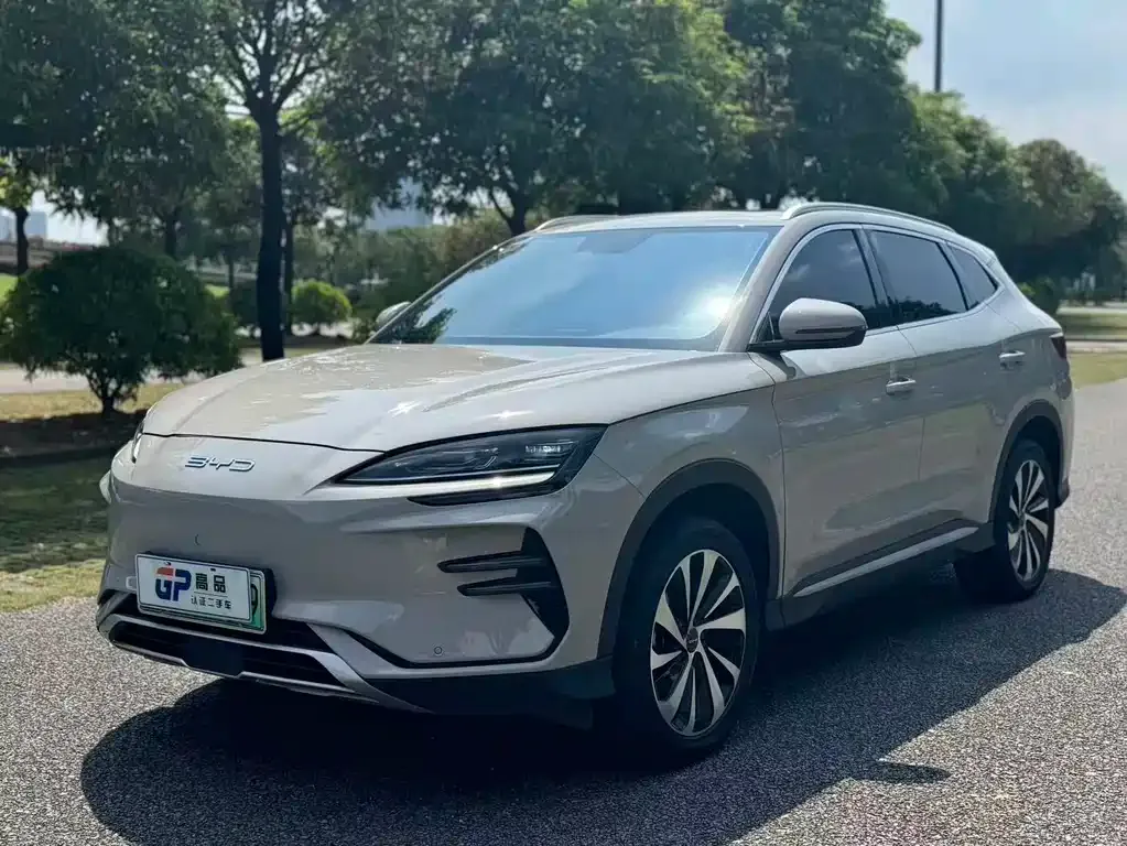 BYD PLUS New Energy — фото 1