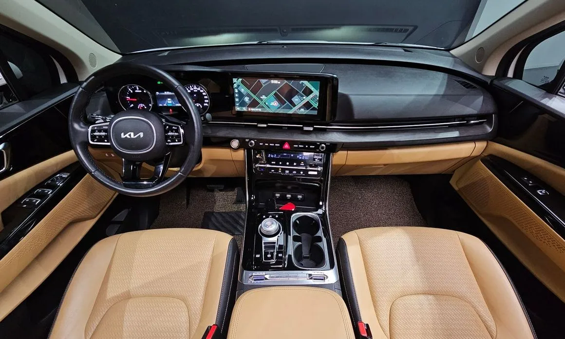 Kia Carnival — фото 10