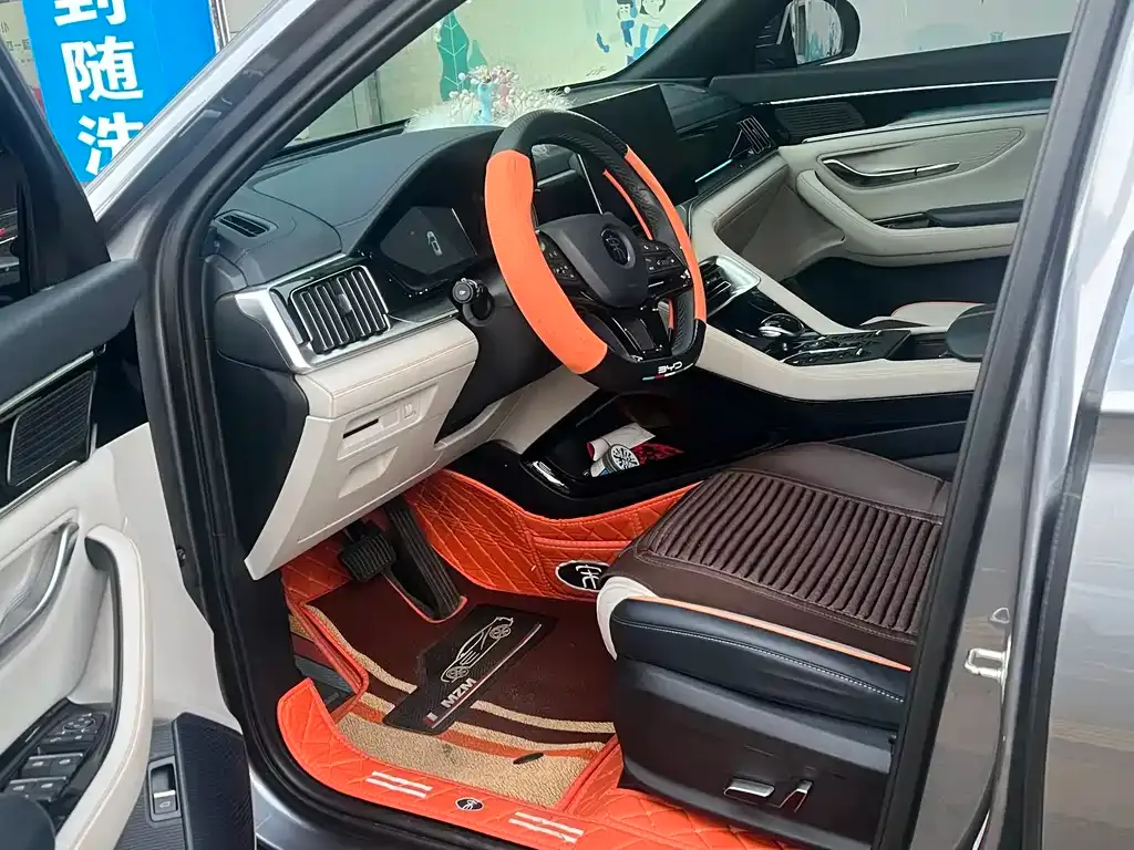 BYD PLUS New Energy — фото 2