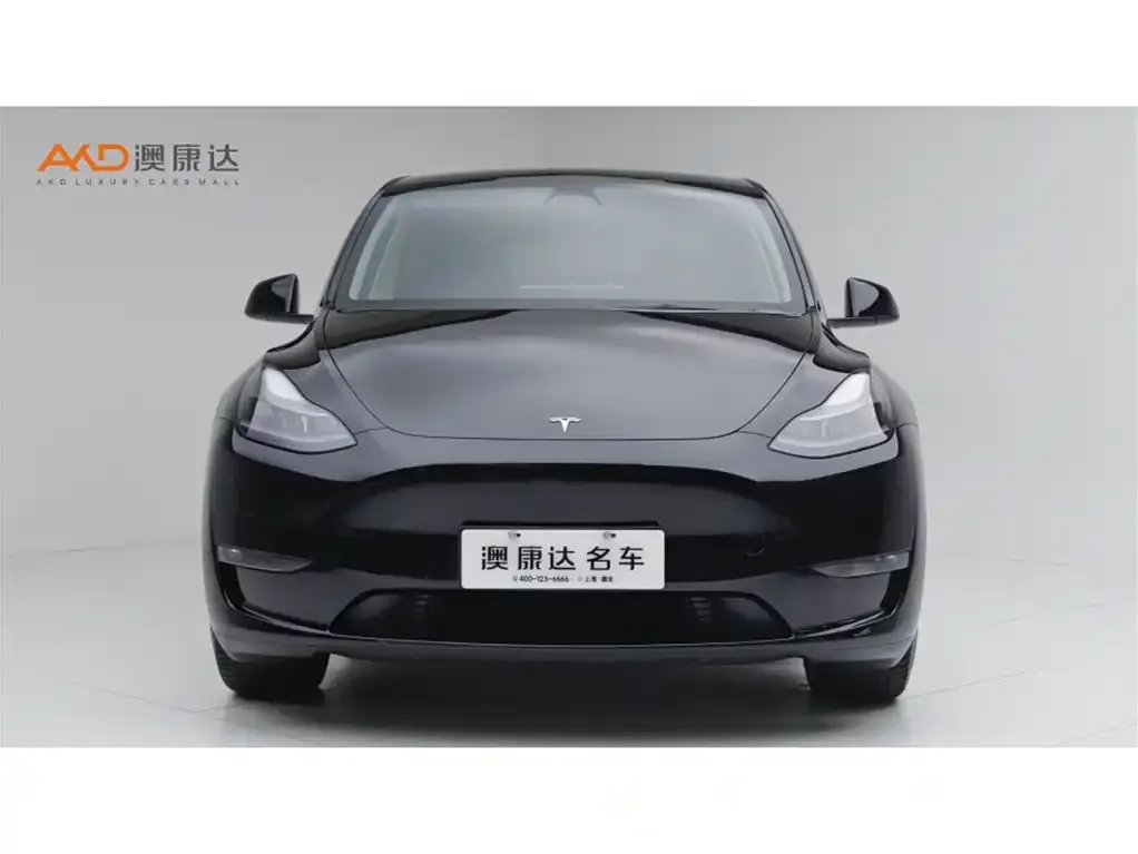 Tesla Model Y — фото 9