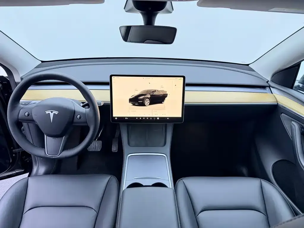 Tesla Model Y — фото 9