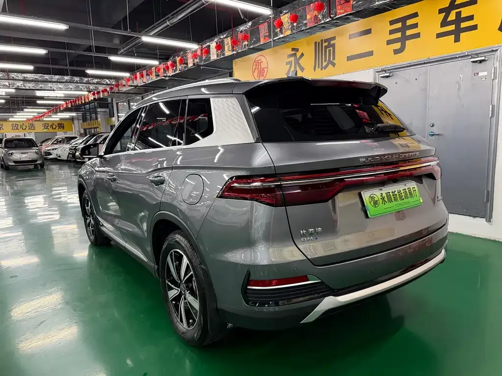 BYD Pro New Energy — фото 10