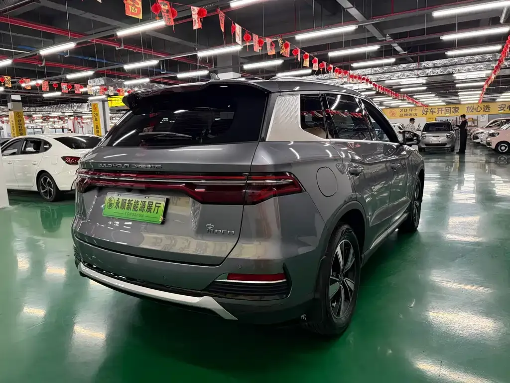 BYD Pro New Energy — фото 6