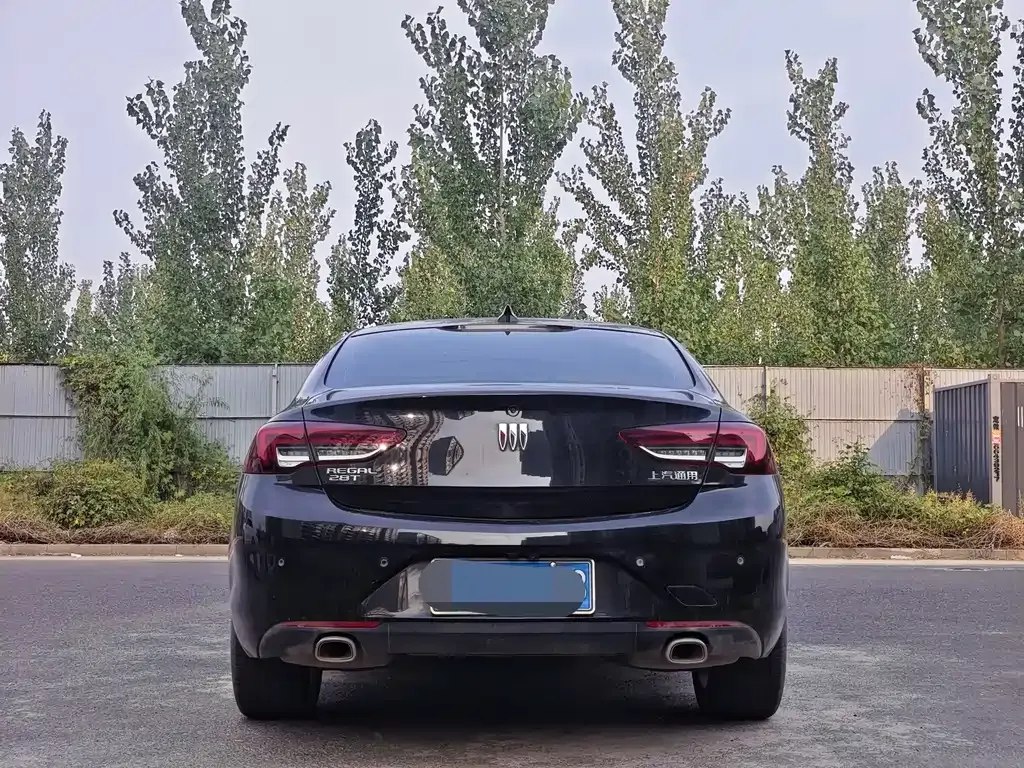 Buick Regal — фото 9