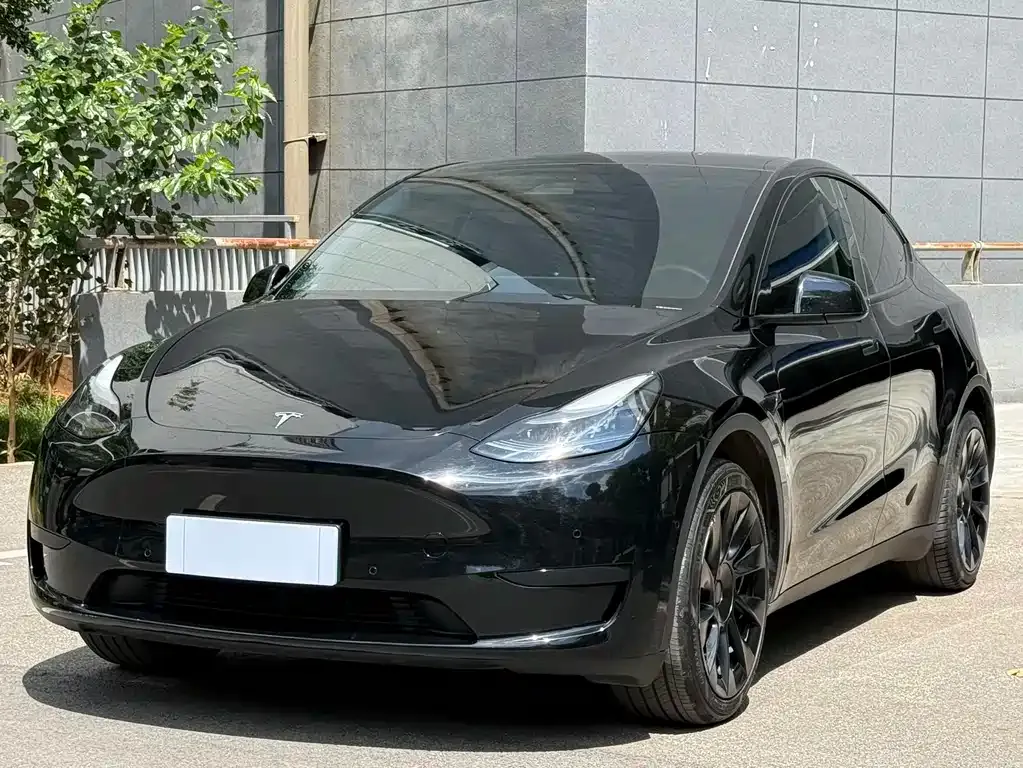 Tesla Model Y — фото 1