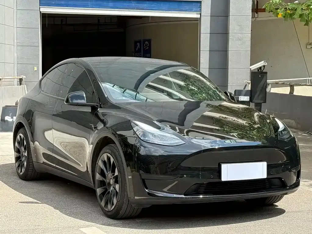 Tesla Model Y — фото 8