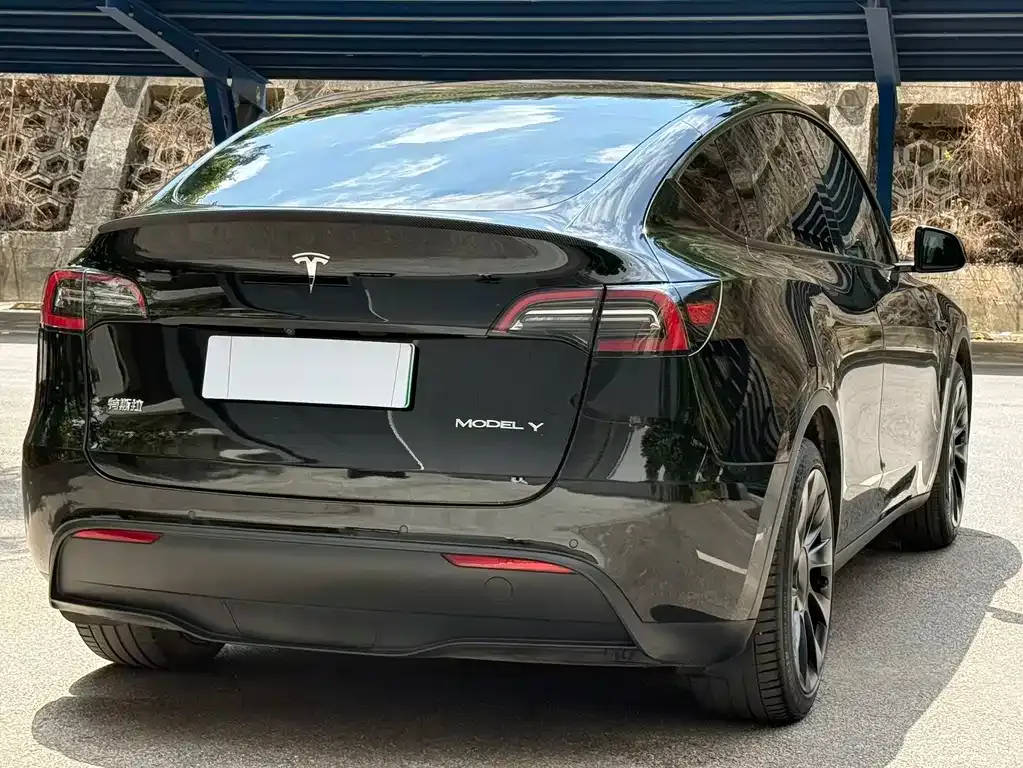 Tesla Model Y — фото 3