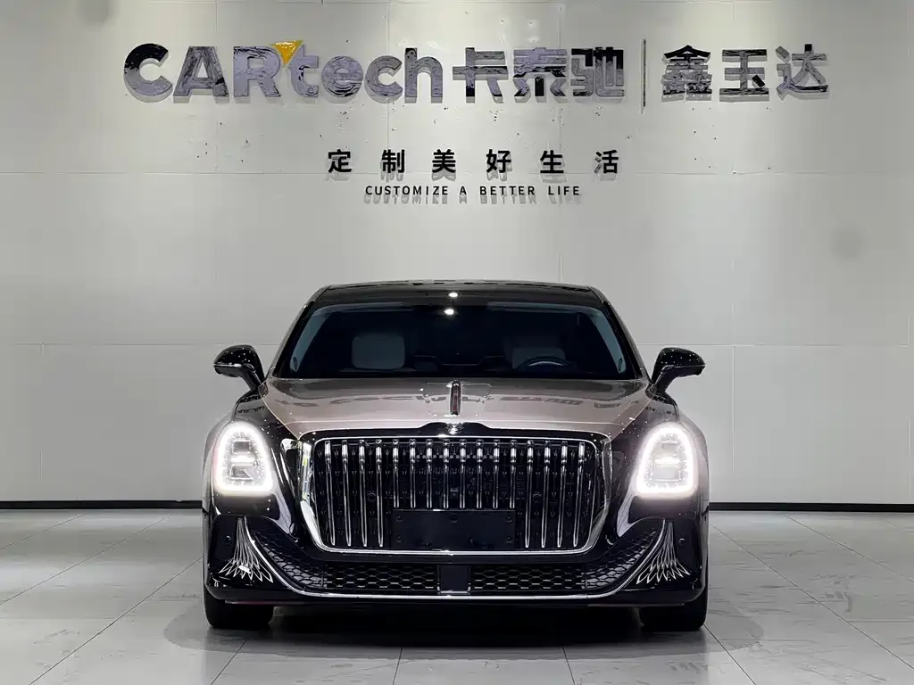 Hongqi Hongqi Golden Sunflower Guoya — фото 4
