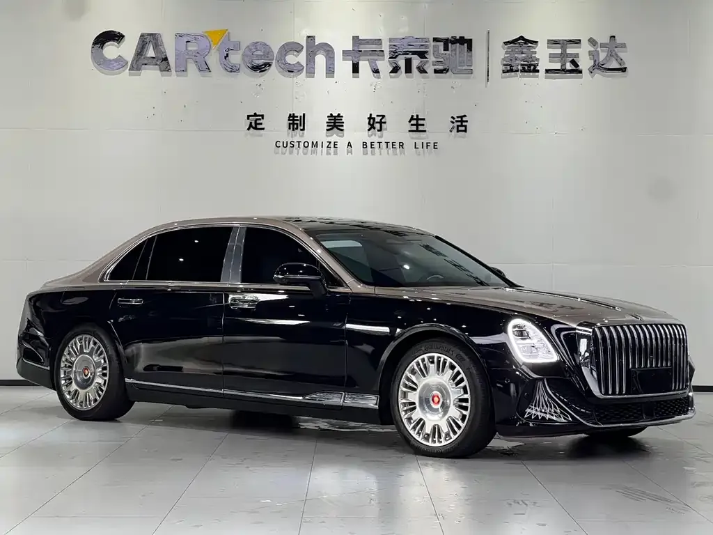Hongqi Hongqi Golden Sunflower Guoya — фото 10