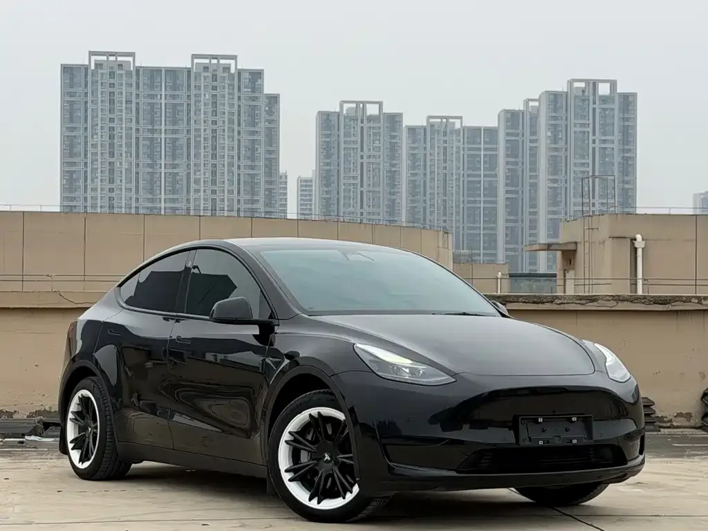 Tesla Model Y — фото 1