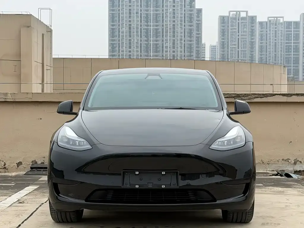 Tesla Model Y — фото 5