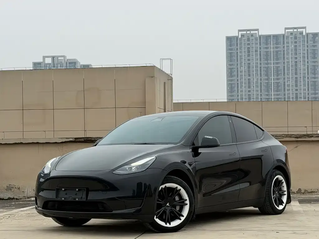Tesla Model Y — фото 9
