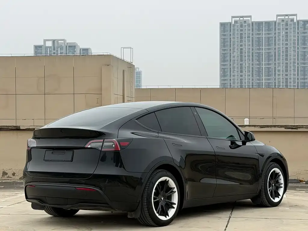 Tesla Model Y — фото 6