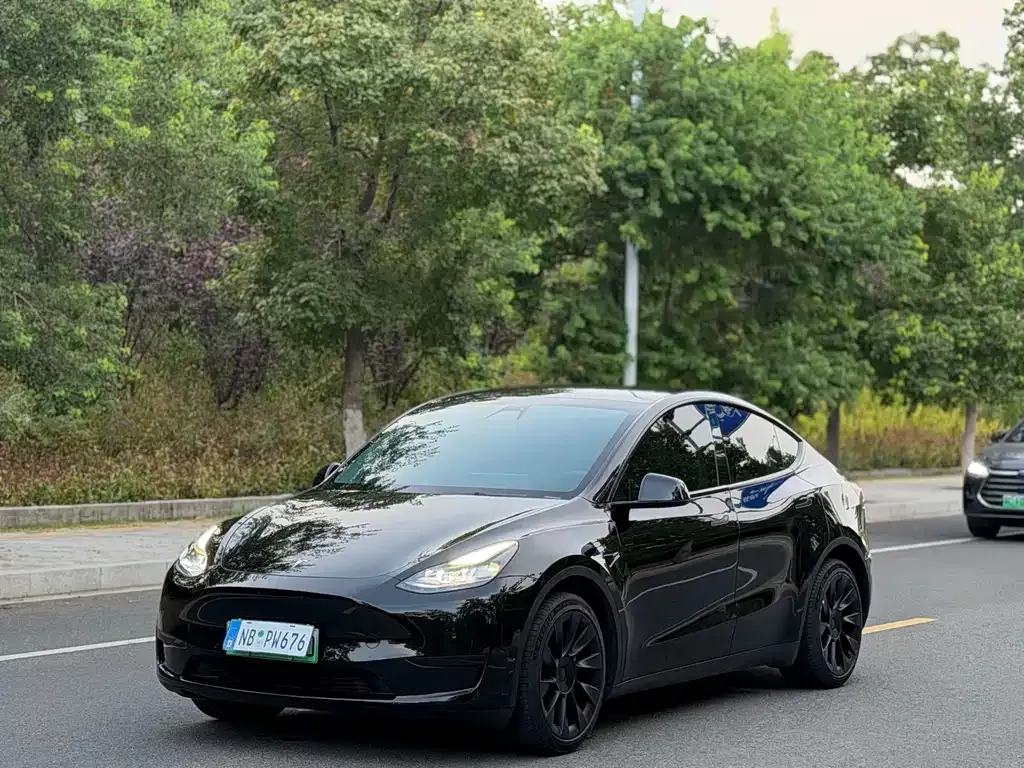 Tesla Model Y — фото 1