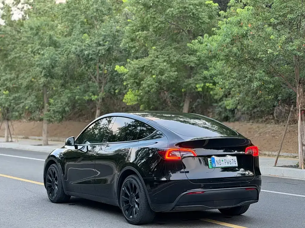 Tesla Model Y — фото 9