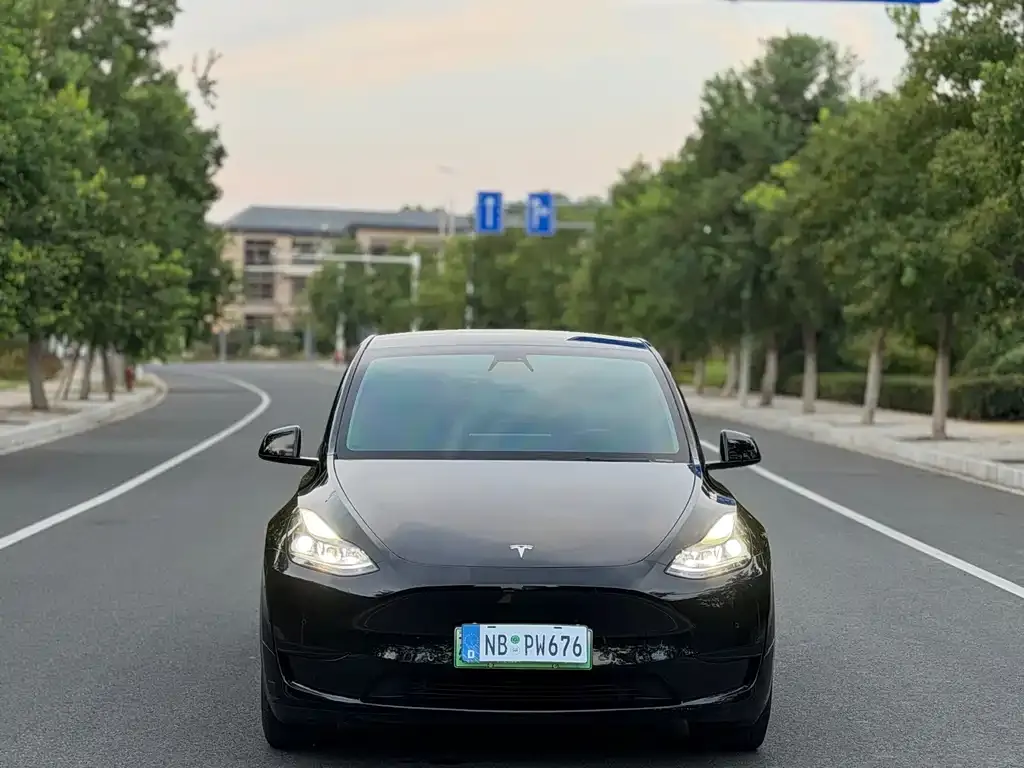 Tesla Model Y — фото 7
