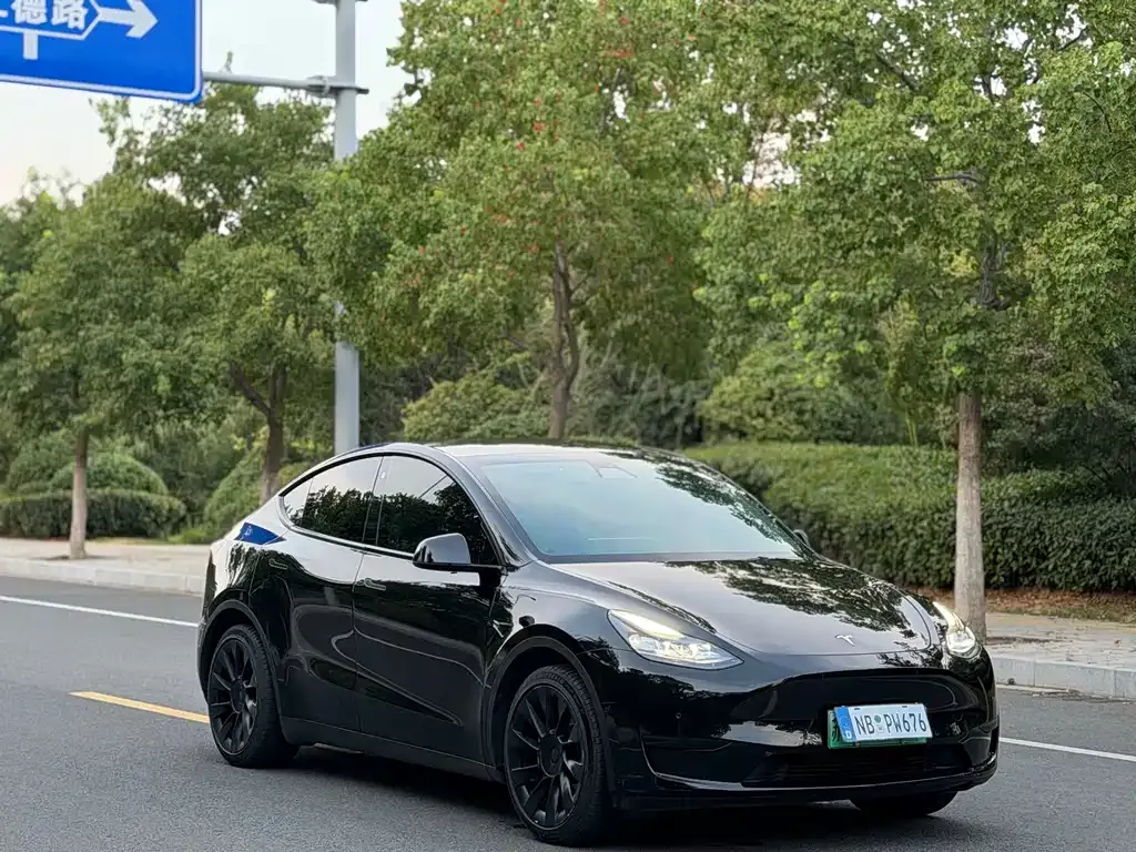 Tesla Model Y — фото 10