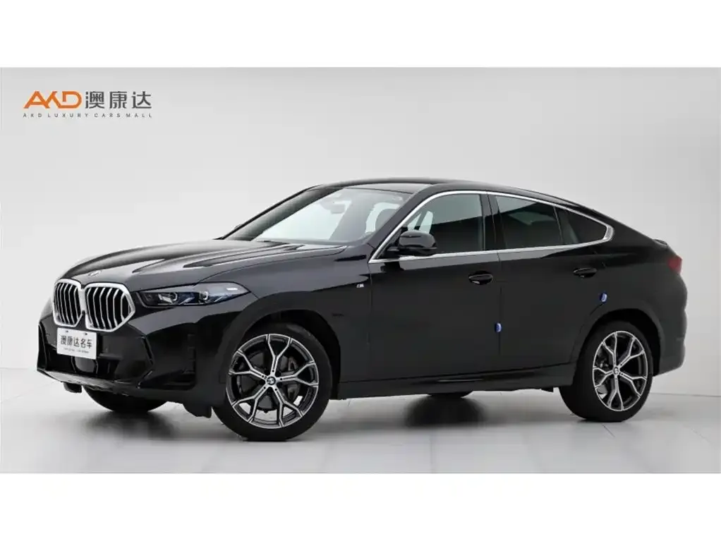 BMW X6 — фото 1