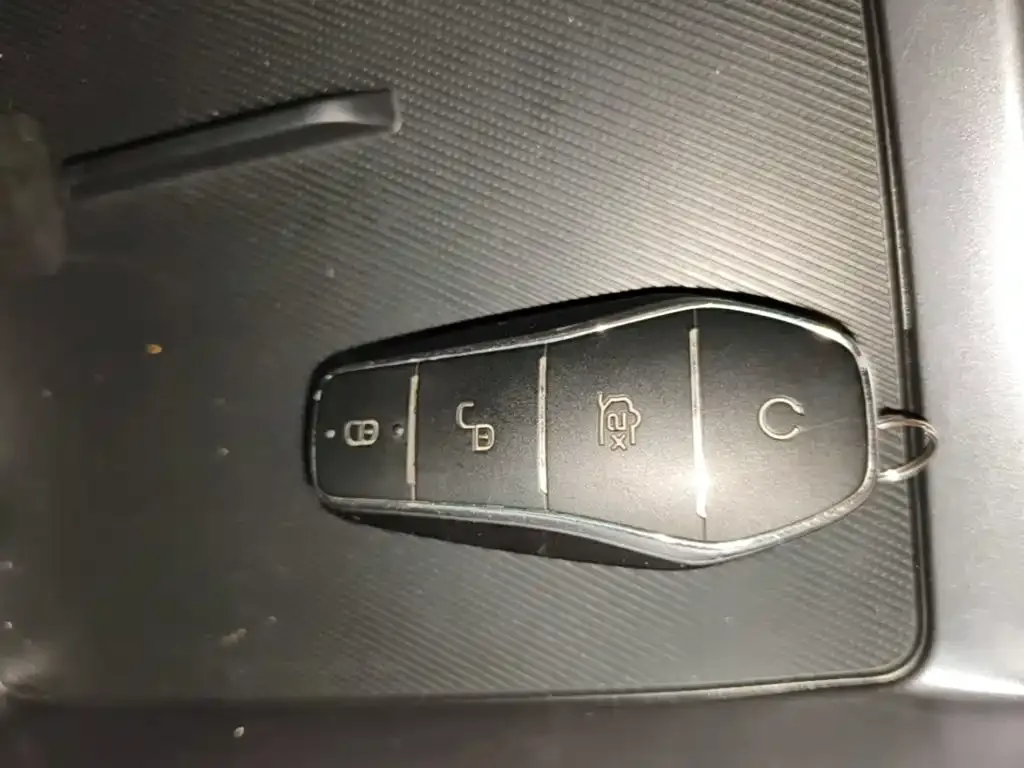 BYD PLUS New Energy — фото 6