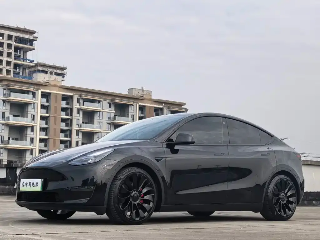 Tesla Model Y — фото 1