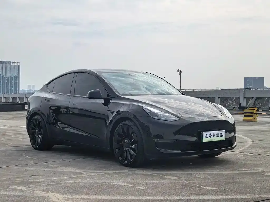 Tesla Model Y — фото 6