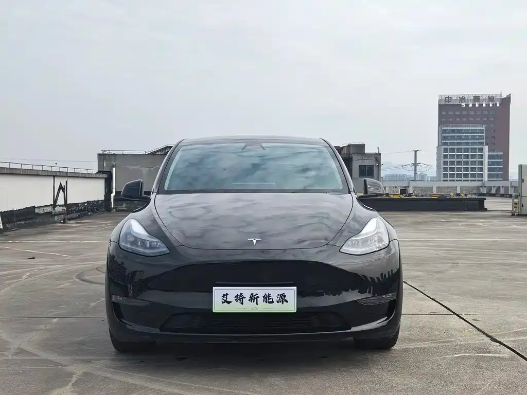 Tesla Model Y — фото 9