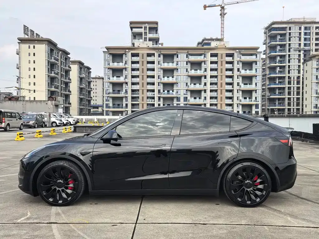 Tesla Model Y — фото 4