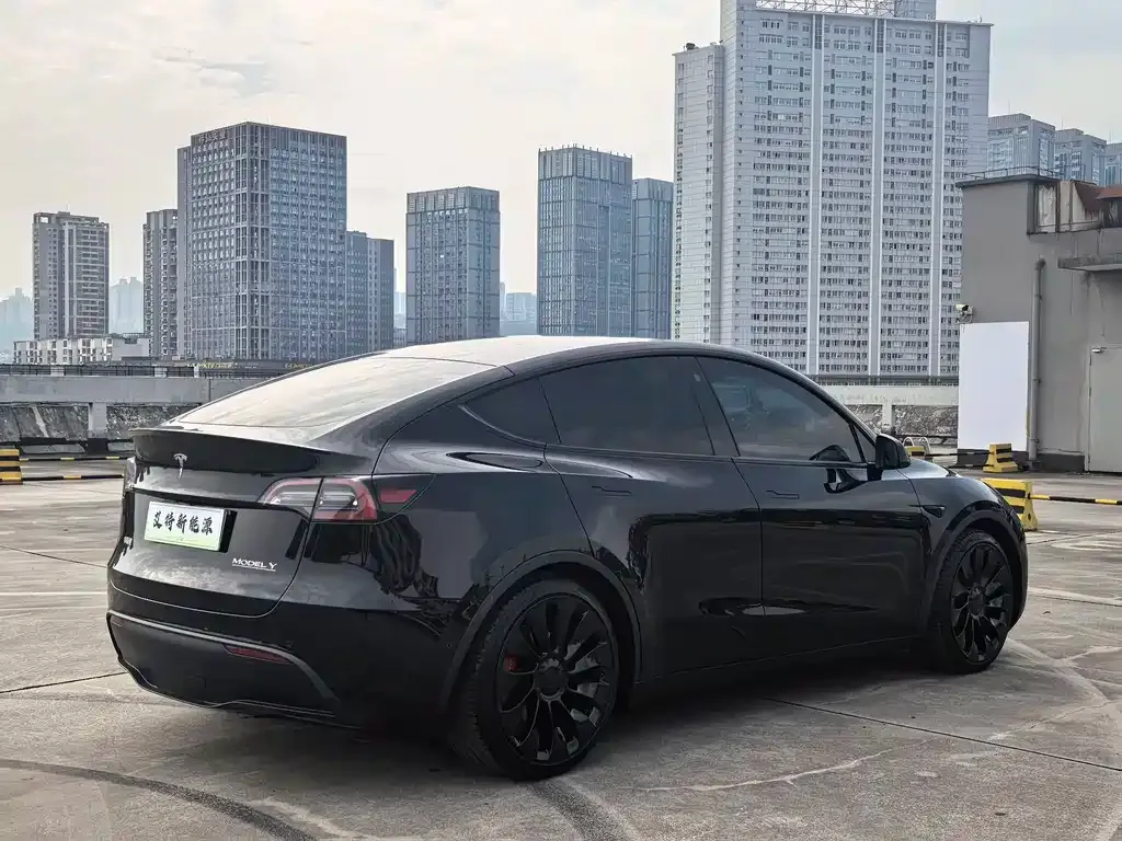 Tesla Model Y — фото 8