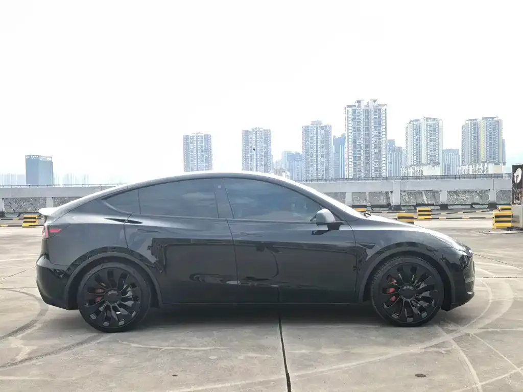 Tesla Model Y — фото 2