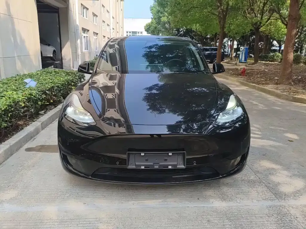Tesla Model Y — фото 5