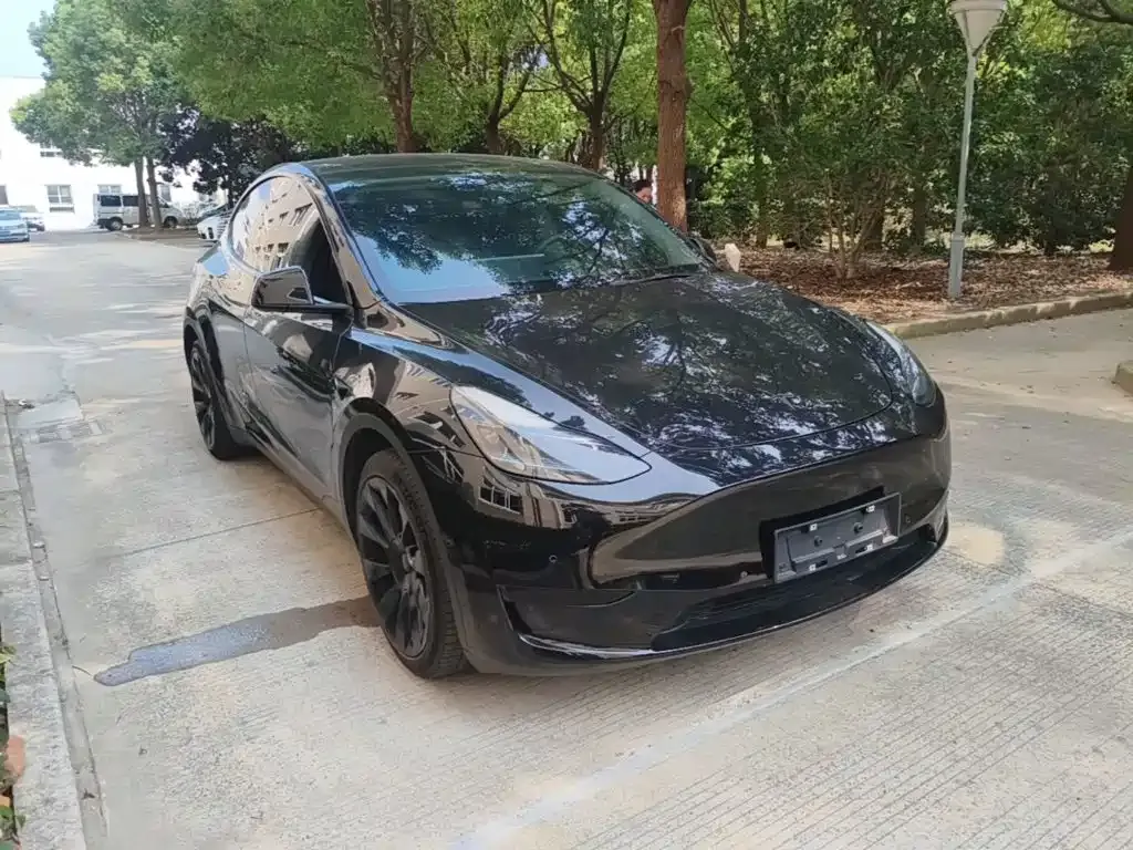 Tesla Model Y — фото 9