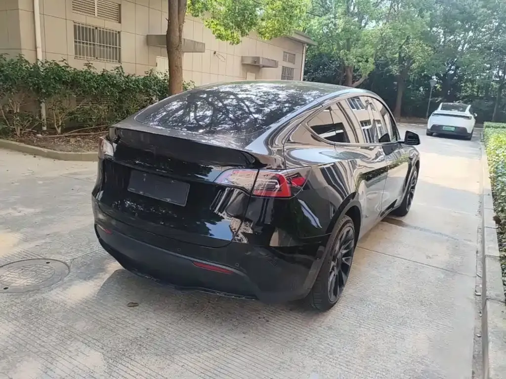 Tesla Model Y — фото 10