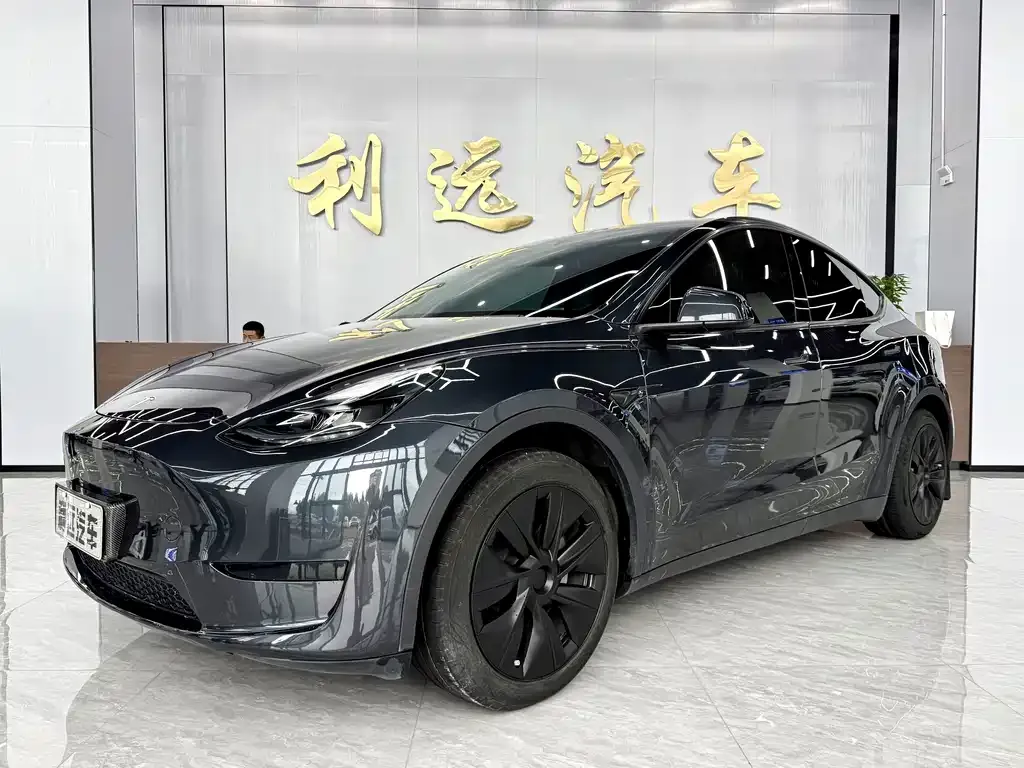 Tesla Model Y — фото 1