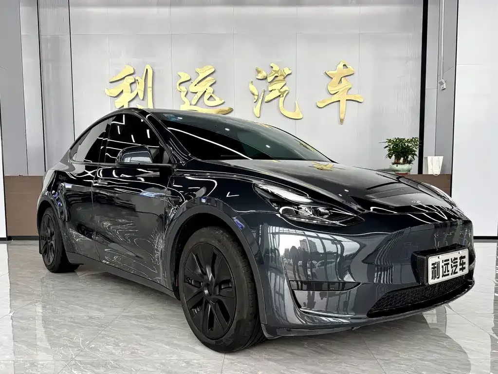 Tesla Model Y — фото 6