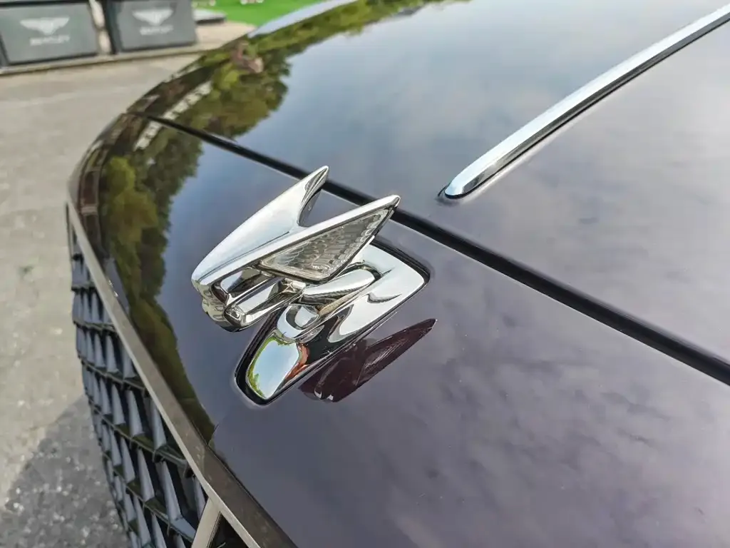 Bentley Flying Spur PHEV — фото 9