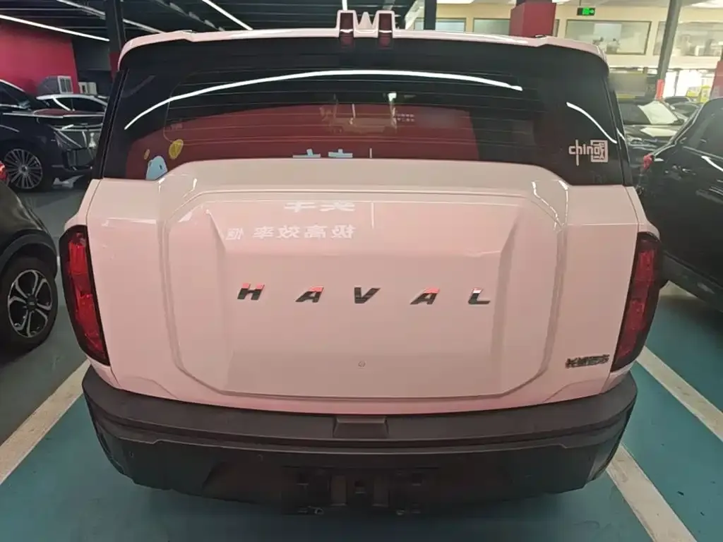 Haval Cool Dog — фото 6
