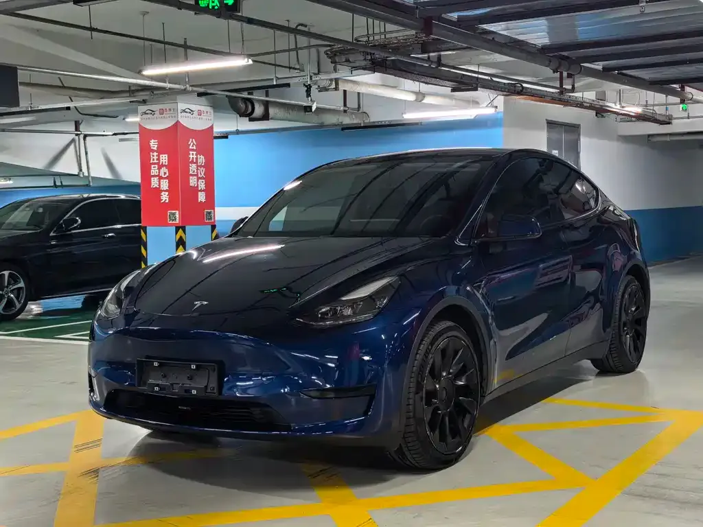 Tesla Model Y — фото 1
