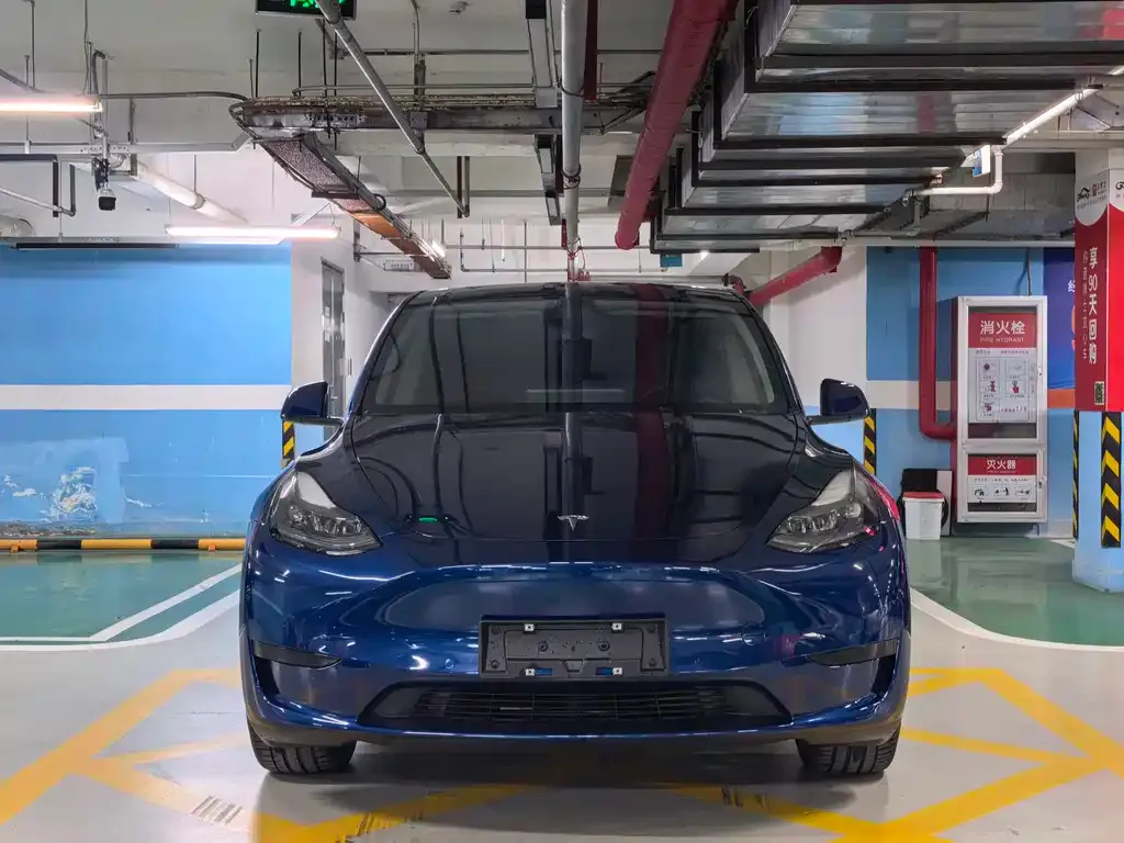 Tesla Model Y — фото 5