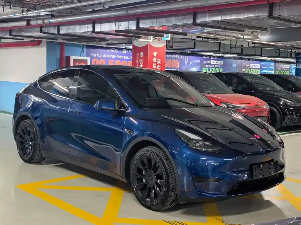 Tesla Model Y — фото 10