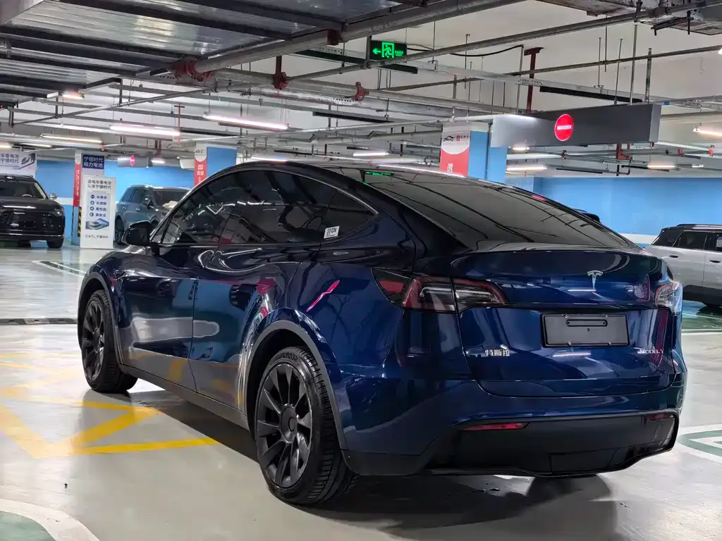 Tesla Model Y — фото 7