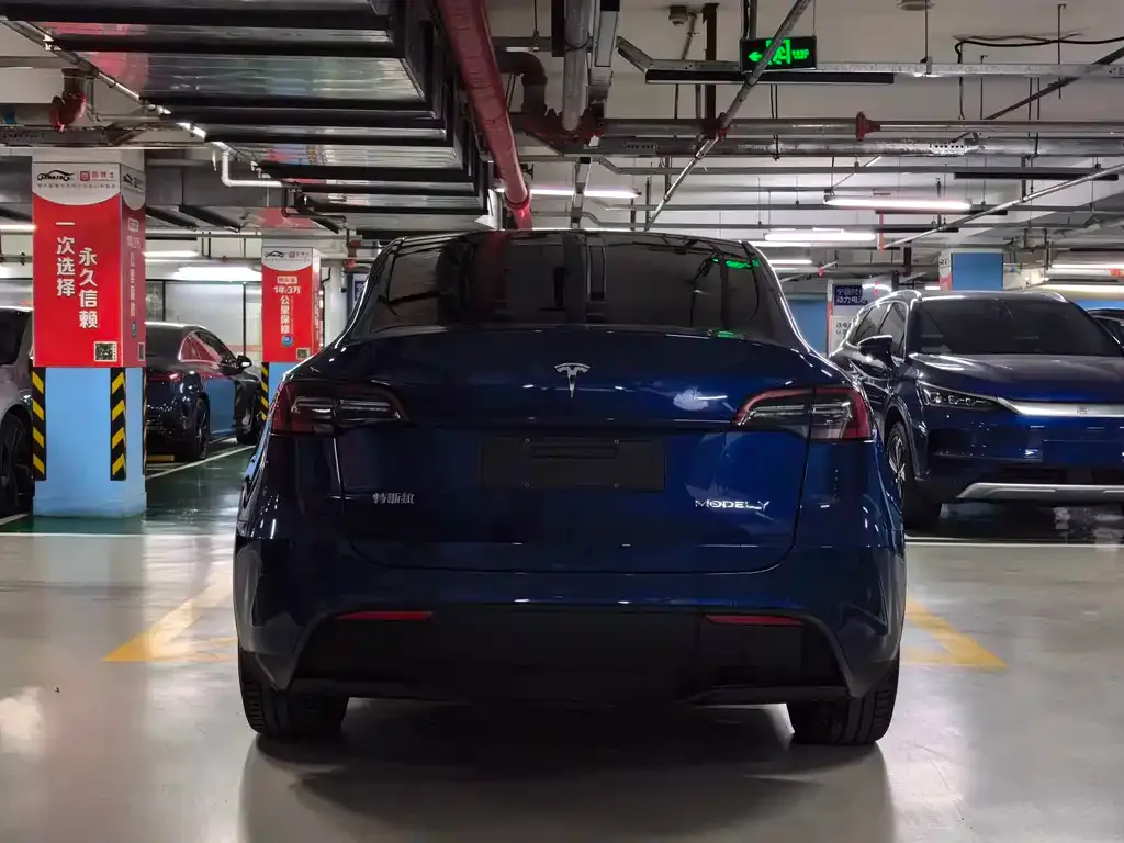 Tesla Model Y — фото 9