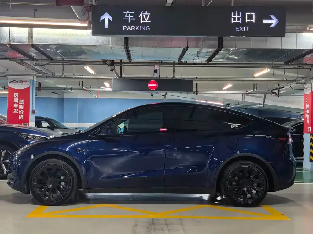 Tesla Model Y — фото 6