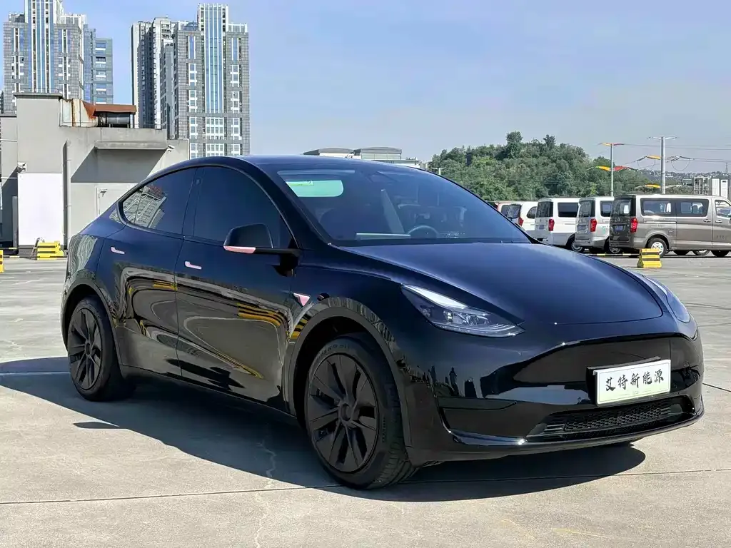 Tesla Model Y — фото 6