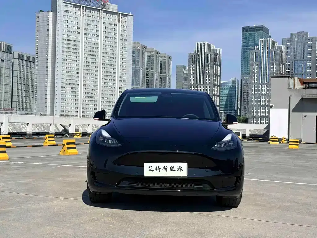 Tesla Model Y — фото 10