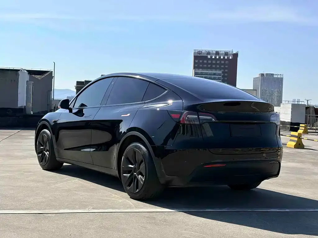 Tesla Model Y — фото 8